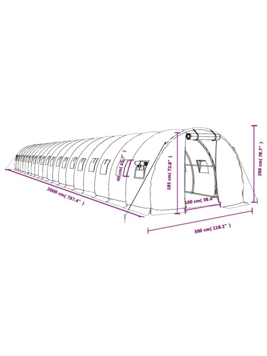 Kasvihuone teräsrungolla valkoinen 60 m² 20x3x2 m