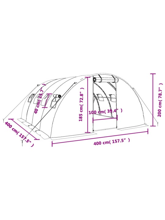 Kasvihuone teräsrungolla valkoinen 16 m² 4x4x2 m