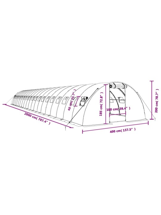 Kasvihuone teräsrungolla valkoinen 80 m² 20x4x2 m