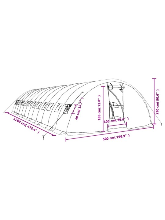 Kasvihuone teräsrungolla valkoinen 60 m² 12x5x2,3 m