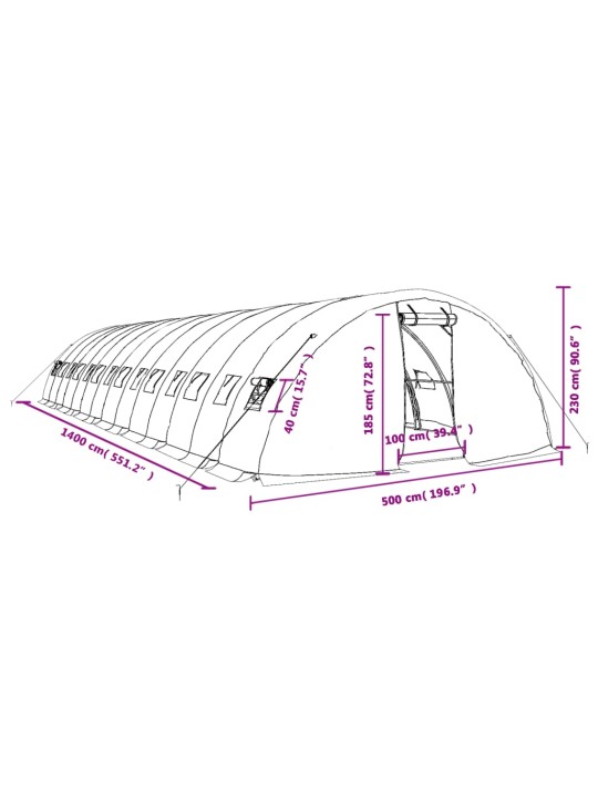 Kasvihuone teräsrungolla valkoinen 70 m² 14x5x2,3 m