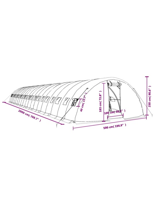 Kasvihuone teräsrungolla valkoinen 100 m² 20x5x2,3 m