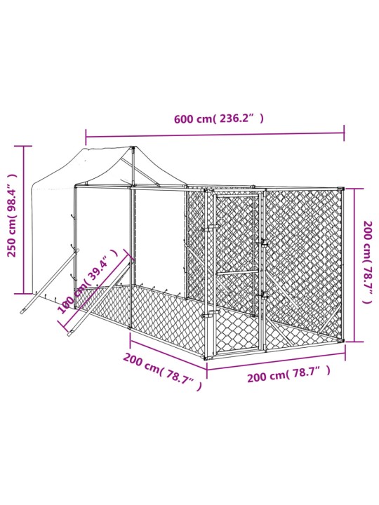 Koiran ulkohäkki katolla hopea 2x6x2,5 m galvanoitu teräs