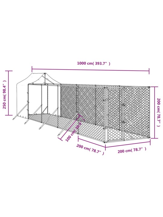 Koiran ulkohäkki katolla hopea 2x10x2,5 m galvanoitu teräs