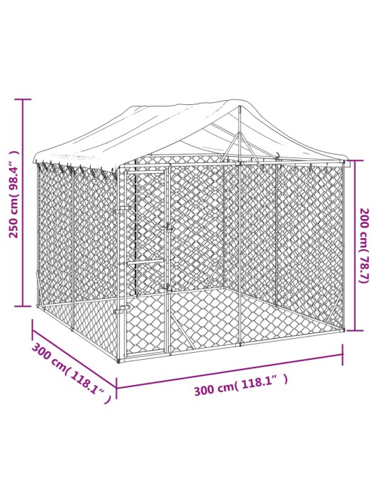 Koiran ulkohäkki katolla hopea 3x3x2,5 m galvanoitu teräs