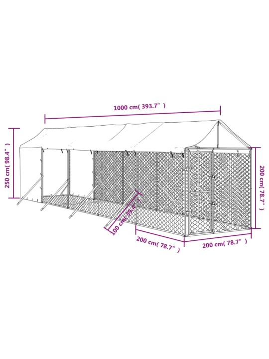 Koiran ulkohäkki katolla hopea 2x10x2,5 m galvanoitu teräs