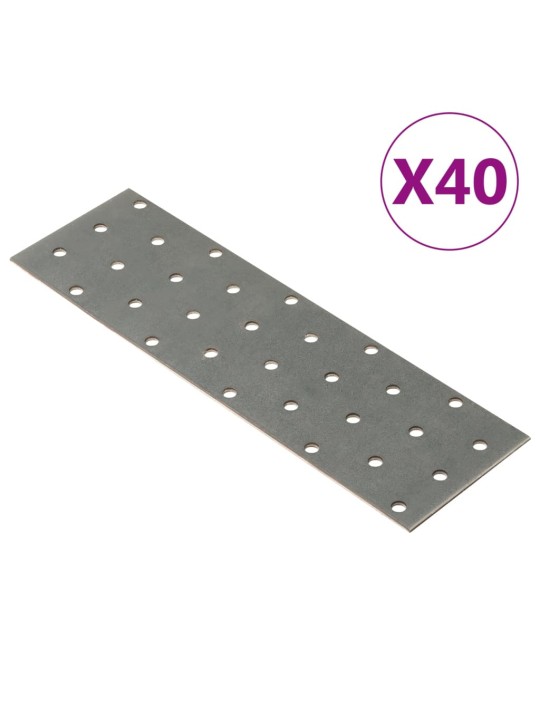 Reikälevyt 40 kpl 2 mm 200x60 mm galvanoitu teräs