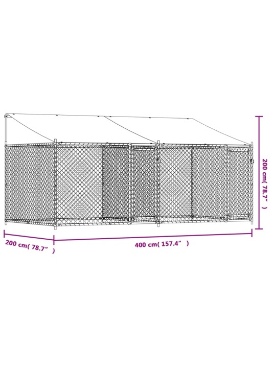 Koiranhäkki katolla ja ovilla harmaa 4x2x2 m galvanoitu teräs