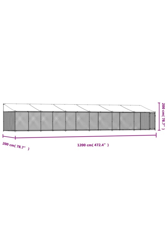 Koiranhäkki katolla ja ovella harmaa 12x2x2 m galvanoitu teräs