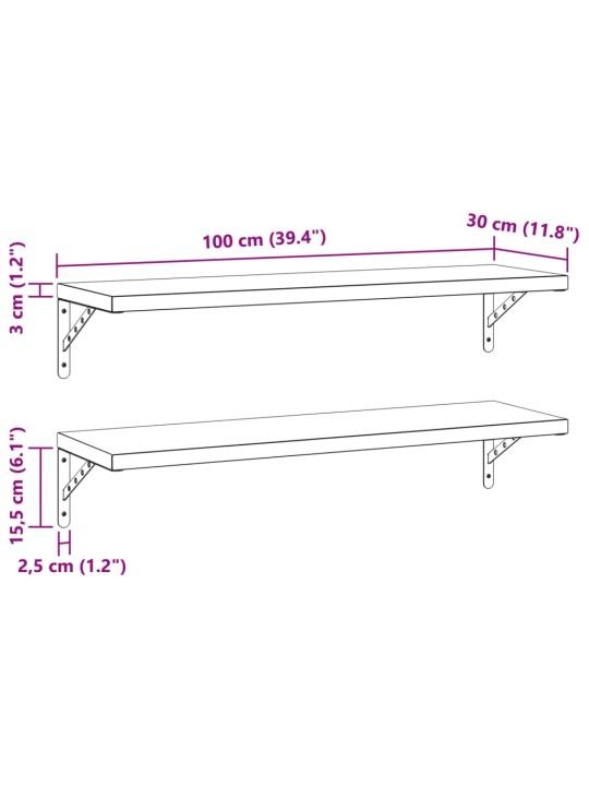 Seinähyllyt 2 kpl 100x30 cm hopea ruostumaton teräs