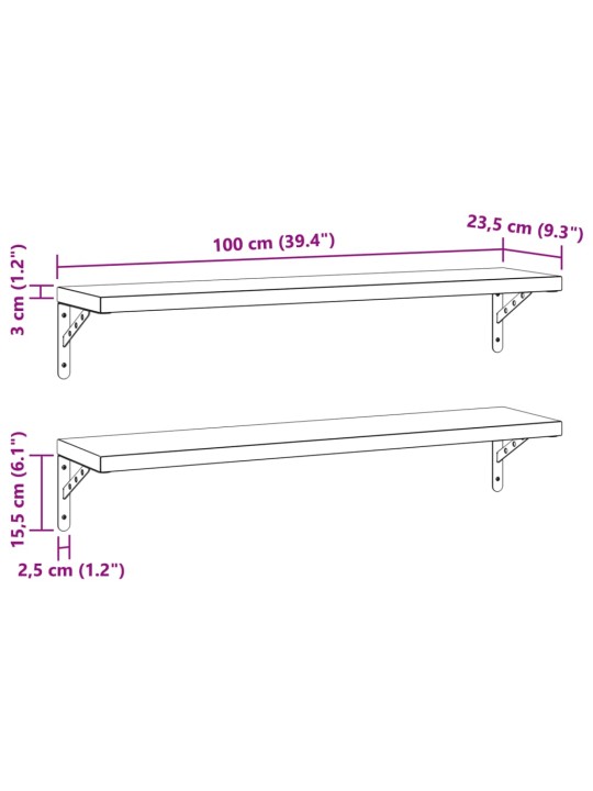 Seinähyllyt 2 kpl 100x23,5 cm hopea ruostumaton teräs