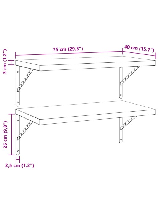 Seinähyllyt 2 kpl 75x40 cm hopea ruostumaton teräs