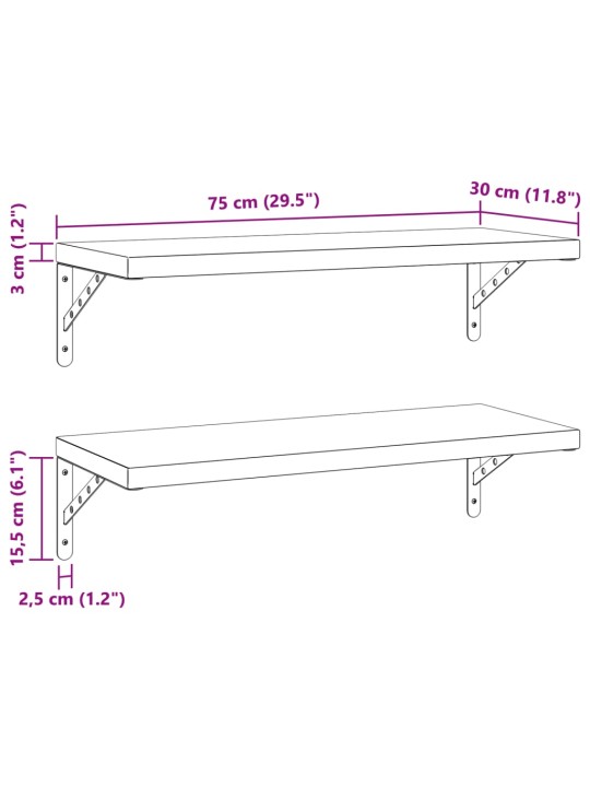 Seinähyllyt 2 kpl 75x30 cm hopea ruostumaton teräs