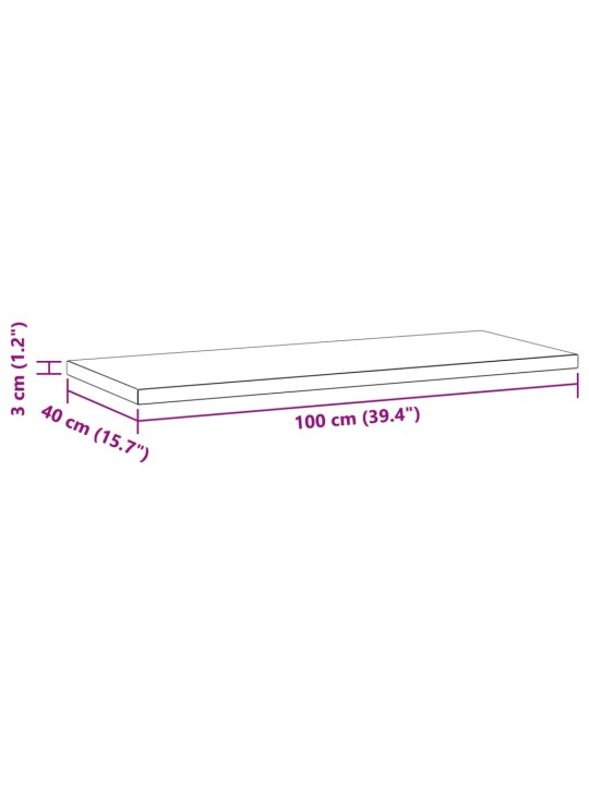 Seinähyllyt 2 kpl 100x40x3 cm hopea ruostumaton teräs