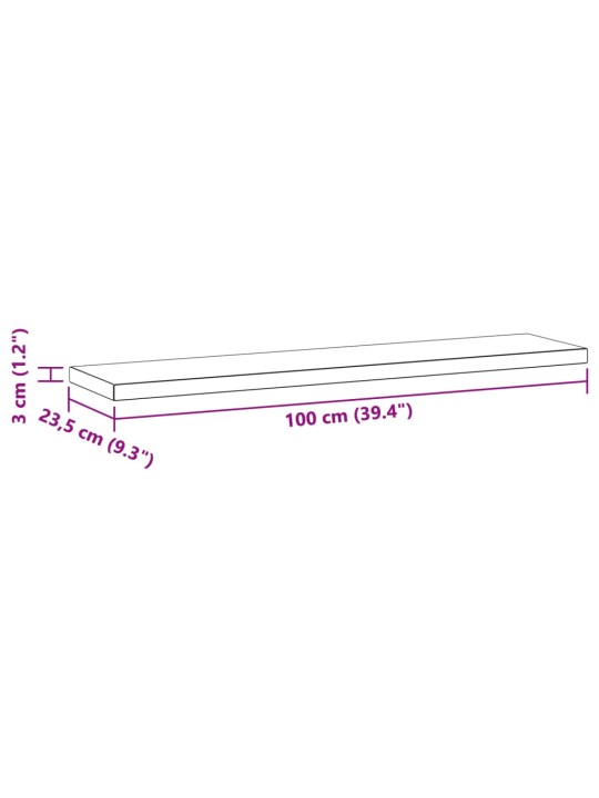 Seinähyllyt 2 kpl 100x23,5x3 cm hopea ruostumaton teräs