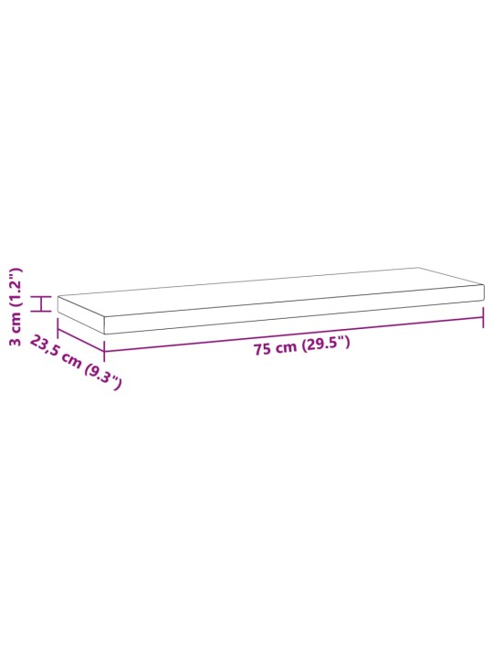 Seinähyllyt 2 kpl 75x23,5x3 cm hopea ruostumaton teräs