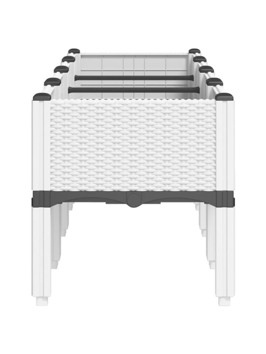 Kukkalaatikko jaloilla valkoinen 160x40x42 cm PP