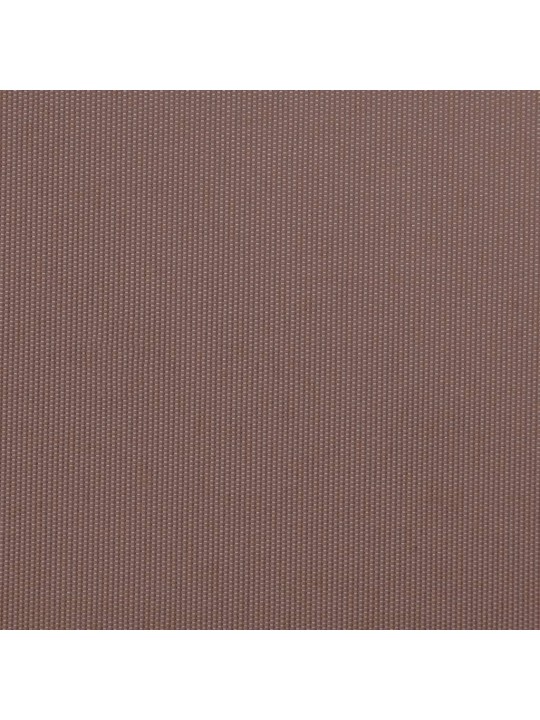 Automaattimarkiisi ruskea 300x250 cm