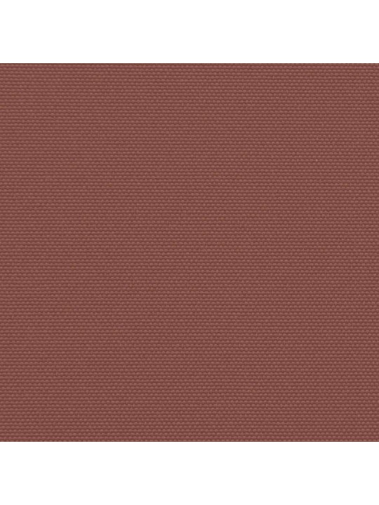 Sisäänvedettävä sivumarkiisi ruskea 220x300 cm