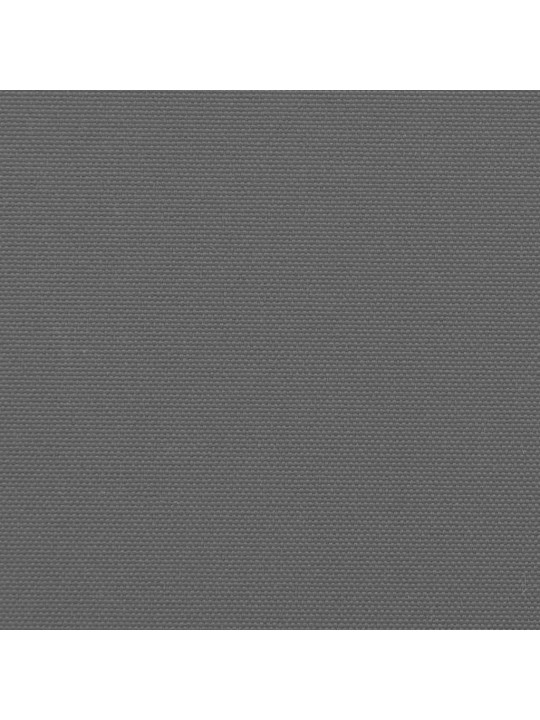 Sisäänvedettävä sivumarkiisi antrasiitti 220x600 cm