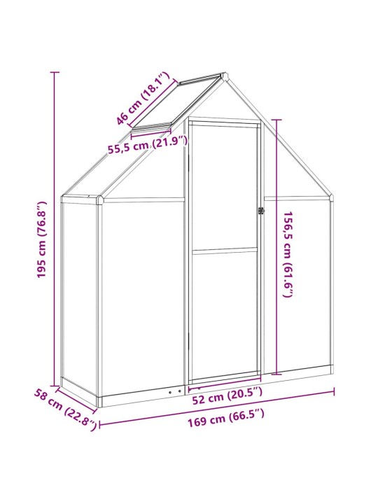 Kasvihuone pohjarungolla hopea 169x58x195 cm alumiini