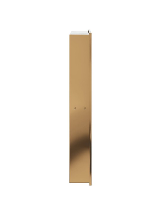 Suihkuhylly harjattu kulta 32x62x9 cm ruostumaton teräs
