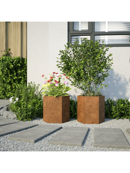 Puutarhakukkalaatikot 2 kpl kuusikulma 46x40x45 cm Corten teräs