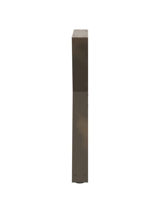 Ruokapöydän jalat 2 kpl luonnonvärinen teräs 50x(72-73,3) cm teräs