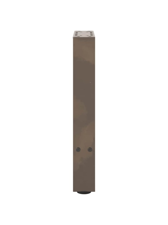 Sohvapöydän jalat luonnonvärinen teräs 2 kpl 38x(42-43) cm teräs