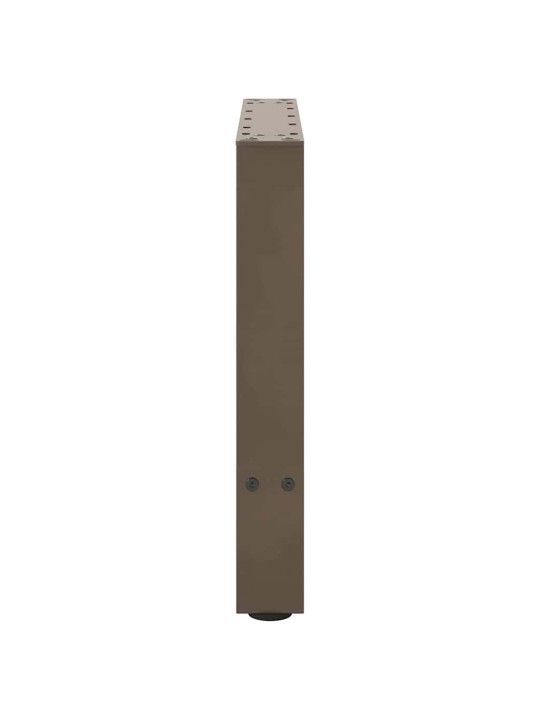 Sohvapöydän jalat luonnonvärinen teräs 2 kpl 50x(42-43) cm teräs
