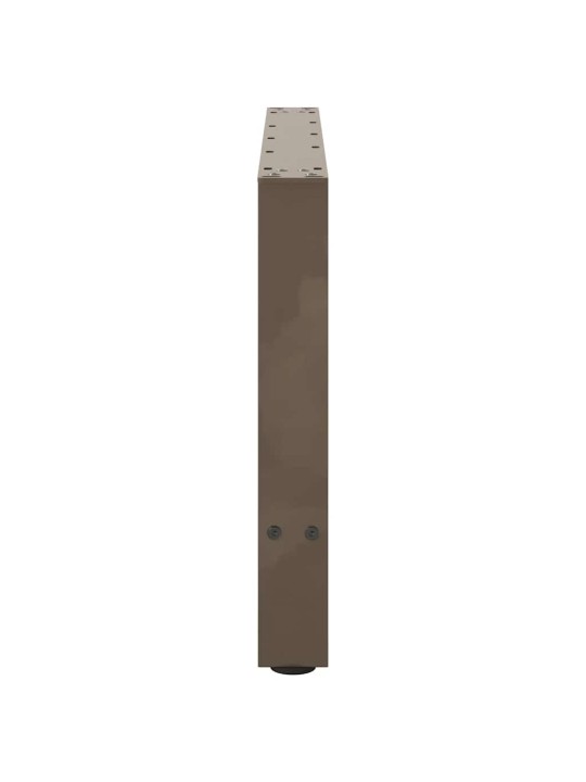 Sohvapöydän jalat, luonnonvärinen teräs, 2 kpl, 70 x (42-43) cm, teräs