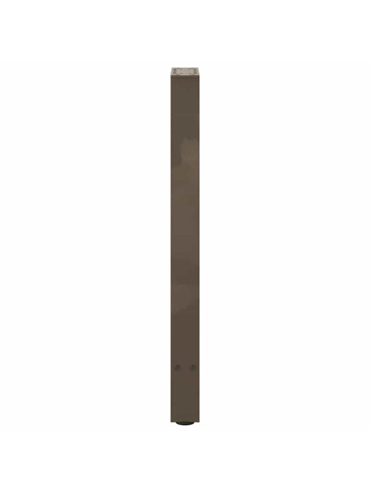 Konsolipöydän jalat, luonnonvärinen teräs, 2 kpl, 38 x (72-73) cm, teräs