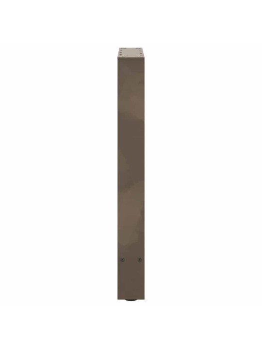 Ruokapöydän jalat, luonnonvärinen teräs, 2 kpl, 50 x (72-73) cm, teräs