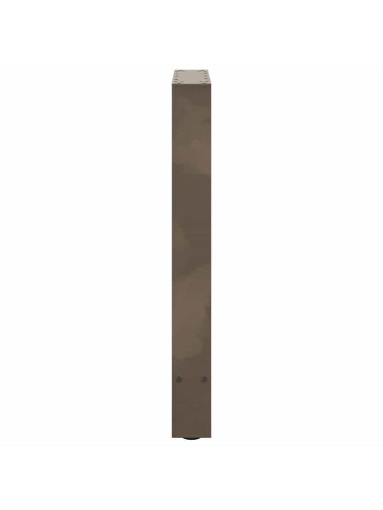 Ruokapöydän jalat, luonnonvärinen teräs, 2 kpl, 60 x (72-73) cm, teräs
