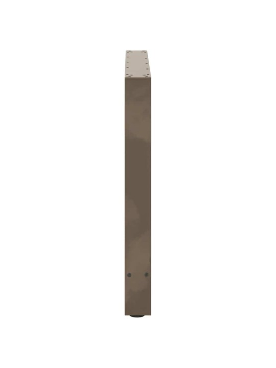 Ruokapöydän jalat, luonnonvärinen teräs, 2 kpl, 70 x (72-73) cm, teräs