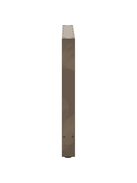 Ruokapöydän jalat, luonnonvärinen teräs, 2 kpl, 80 x (72-73) cm, teräs