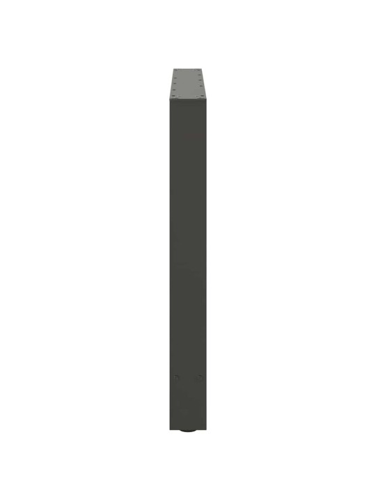 Ruokapöydän jalat antrasiitti 2 kpl 100x(72-73) cm teräs