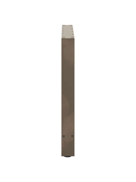 Ruokapöydän jalat, luonnonvärinen teräs, 2 kpl, 100 x (72-73) cm, teräs