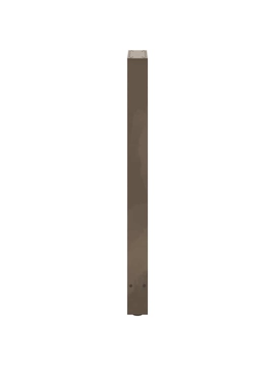 Baaripöydän jalat, luonnonvärinen teräs, 2 kpl, 50 x (100-101) cm, teräs