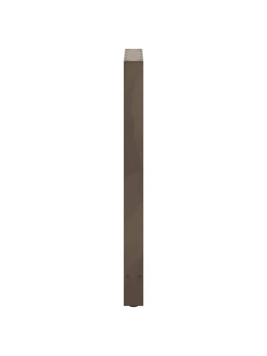 Baaripöydän jalat, luonnonvärinen teräs, 2 kpl, 60 x (100-101) cm, teräs