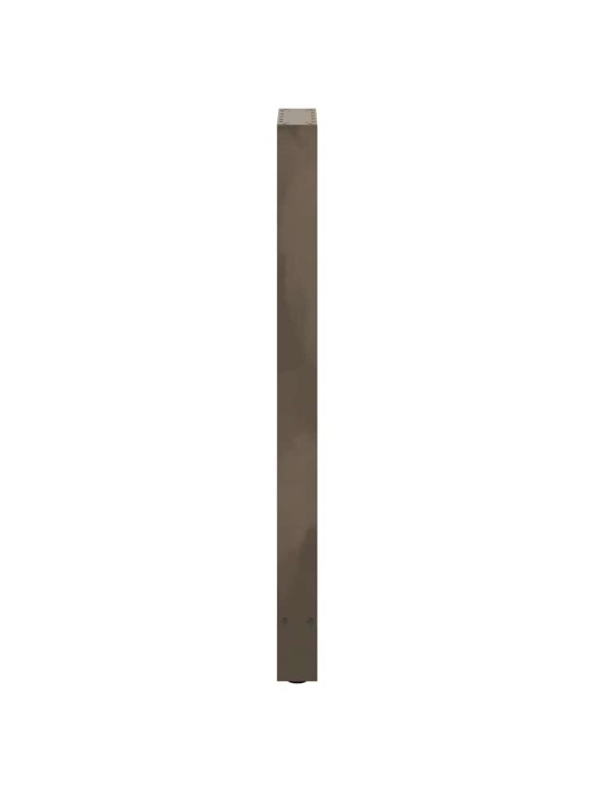 Baaripöydän jalat, luonnonvärinen teräs, 2 kpl, 50 x (110-111) cm, teräs