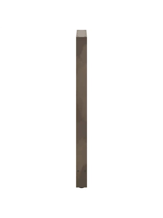 Baaripöydän jalat, luonnonvärinen teräs, 2 kpl, 60 x (110-111) cm, teräs