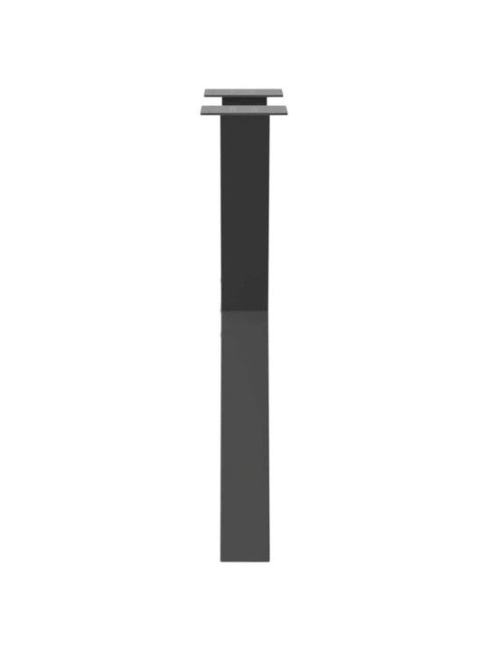 Ruokapöydän jalat x-muotoiset 2 kpl antrasiitti 60x(72-73) cm teräs