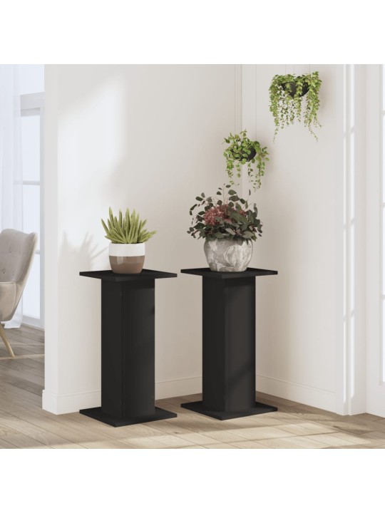Kasvitelineet 2 kpl musta 30x30x60 cm tekninen puu