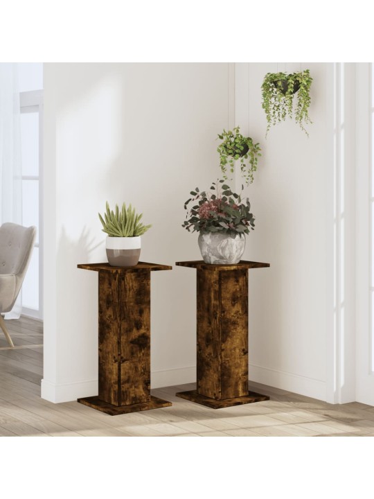 Kasvitelineet 2 kpl savutammi 30x30x60 cm tekninen puu
