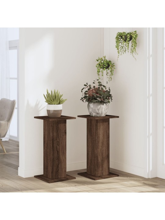Kasvitelineet 2 kpl ruskea tammi 30x30x60 cm tekninen puu