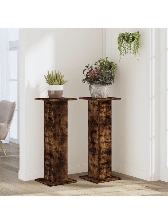 Kasvitelineet 2 kpl savutammi 30x30x80 cm tekninen puu