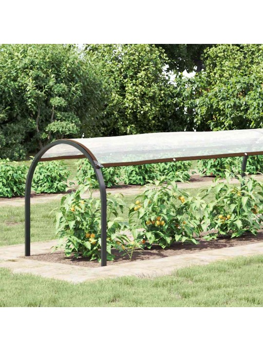 Kirkas suojapeite silmukoilla 1x10 m polyeteeni