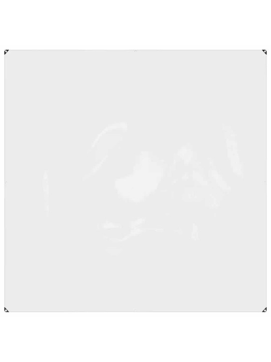 Kirkas suojapeite silmukoilla 2x2 m pvc
