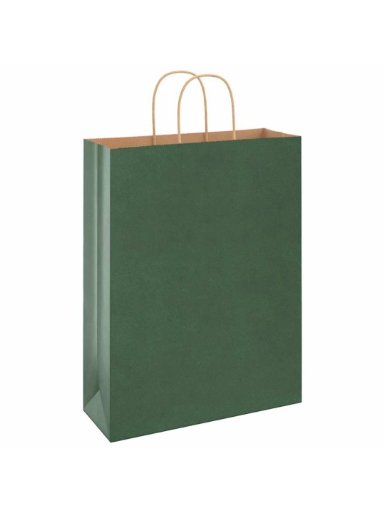 Paperikassit 50 kpl kahvoilla vihreä 32x12x42 cm